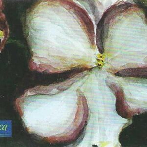 Br-Cartão Telefônico, 2001, (U). Série: Violetas.