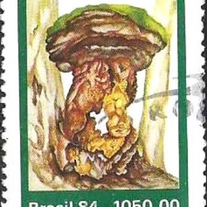 Br-Selo, 1984, C-1420-RHM, (Mint). Fungos (Pleurotus sp).