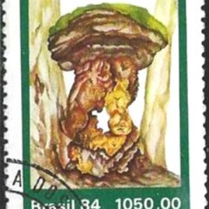 Br-Selo, 1984, C-1420-RHM, (N). Fungos (Pleurotus sp).