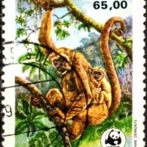 Br-Selo, 1984, C-1401-RHM, (N). Preservação da Fauna Brasileira (Macaco/filhote).
