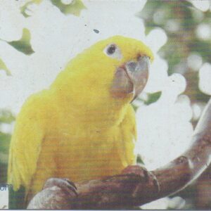 Br-Cartão Telefônico, 2002, (U). Ararajuba (Aratinga guarouba).