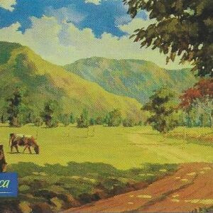 Br-Cartão Telefônico, 2002, (N). Série: Paisagens rurais (Estrada Rural II).