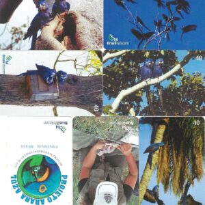 Br-Cartão Telefônico, 2003, (U). (07 unidades). Brasil Telecom e Projeto Arara Azul juntos para a conservação da espécie.