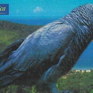 Br-Cartão Telefônico, 2000, (N). Série: Pássaros Exóticos, Papagaio Cinzento Africano.