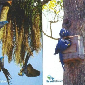 Br-Cartão Telefônico, 2003, (U), (02 unidades). Brasil Telecom e Projeto Arara Azul juntos para a conservação da espécie.