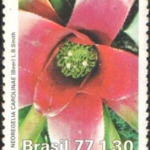 Br-Selo, 1977, C-1006-RHM, (N). Defesa do Meio Ambiente - Proteção à Flora.