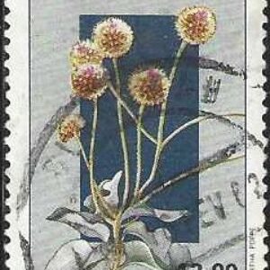 Br-Selo, 1981, C-1220-RHM, (U), Yt:BR 1499. Flora Brasileira, Flores do Planalto Central (Eremanthus).
