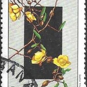 Br-Selo, 1981, C-1221-RHM, (U), Yt:BR 1499. Flora Brasileira, Flores do Planalto Central (Cassia Clausseni).