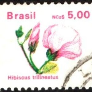 Br-Selo, 1990, Regular, 674 (RHM), (U). Flora Brasileira (Hibisco-de-goiás-hibiscus trilineatus).