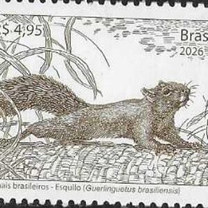 Br-Selo, 2026, RHM, (Mint). Fauna Brasileira (Esquilo - Guerlinguetus brasiliensis).